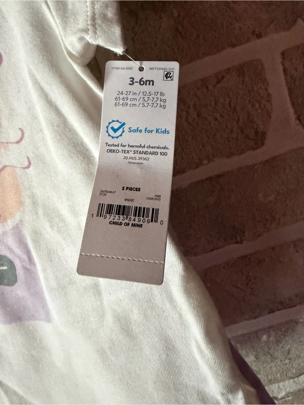 Carter's White Tee with Pastel Bunny Graphic & Lavender Gingham Shorts